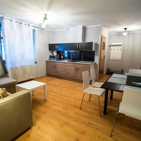 Przy Kamienczyku Apartment